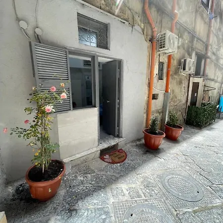 House Paky-3